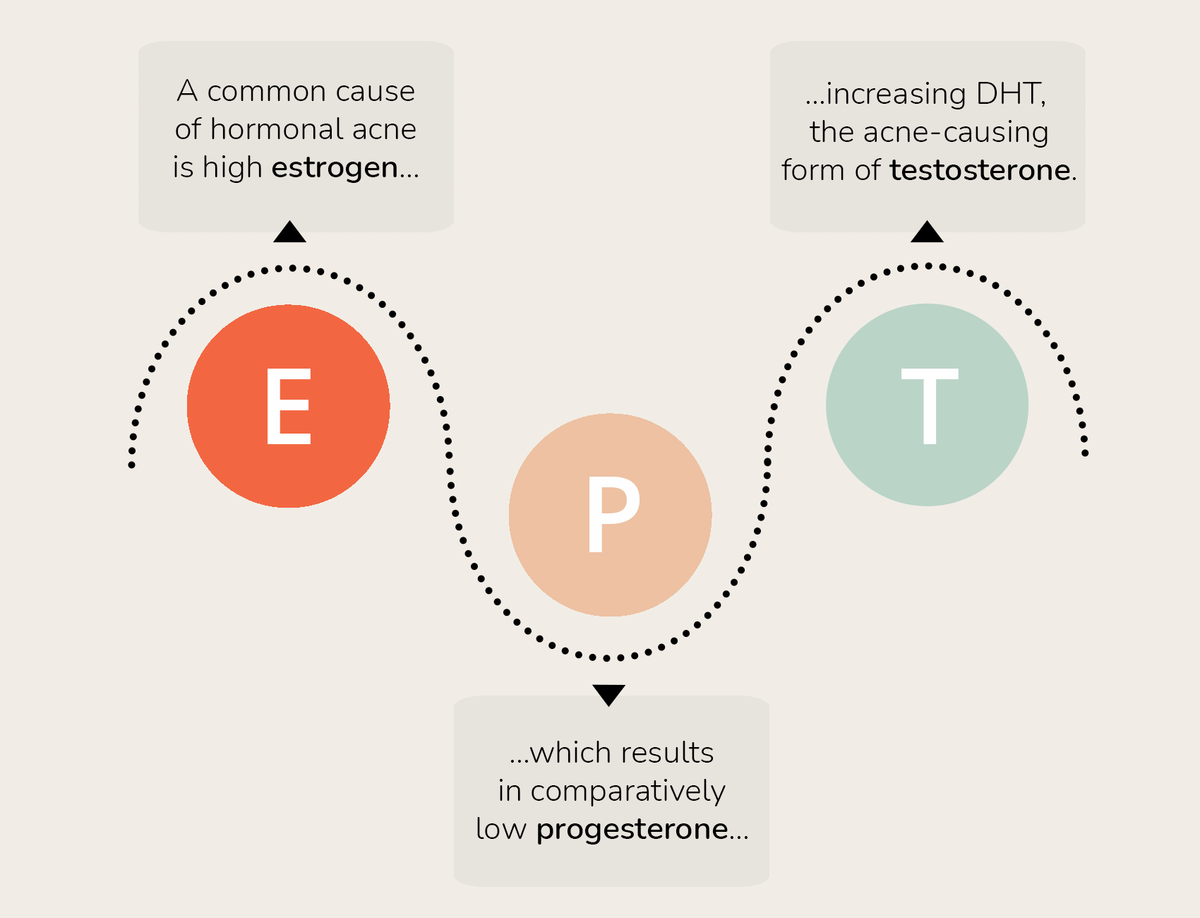 cocoon-hormone-imbalance-diagram.png__PID:59757f71-78ee-47d3-9d14-1e97bd6cf4b5